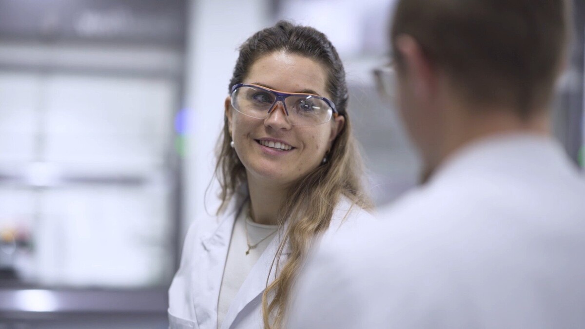 TESTEX laboratory 25 68 1