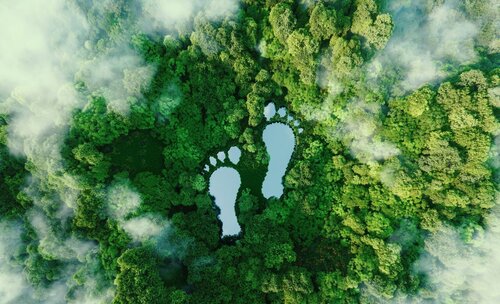 Water footprint impact calculator