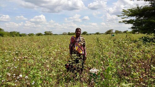 Whats App Image 2024 11 12 at 9 26 32 AM 6