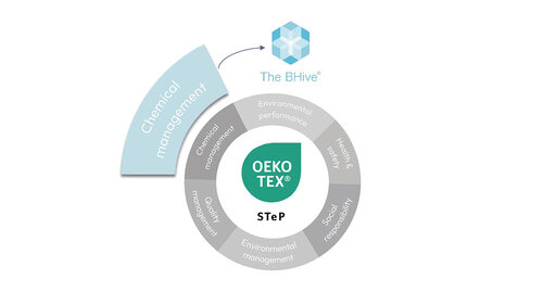 B Hive S Te P circle 1