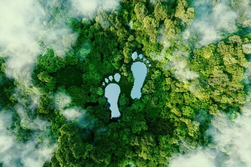 Carbon footprint