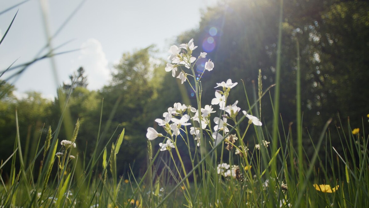 OT annual report 23 34